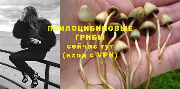 а пвп мука Арсеньев
